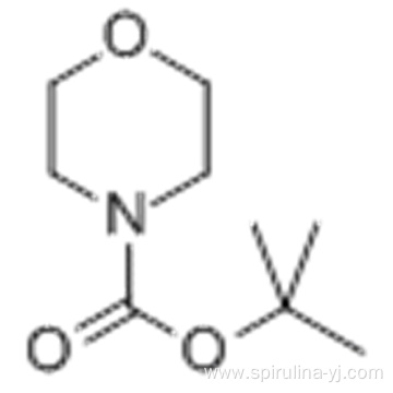 1-N-BOC-MORPHOLINE CAS 220199-85-9